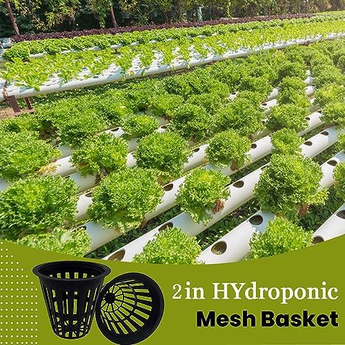 100 PCS 2 Inch Heavy Duty Net Pots, Slotted Mesh Hydroponic Cups for Garden, Plant Nursery Net Cups for Hydroponics and Aquaponics