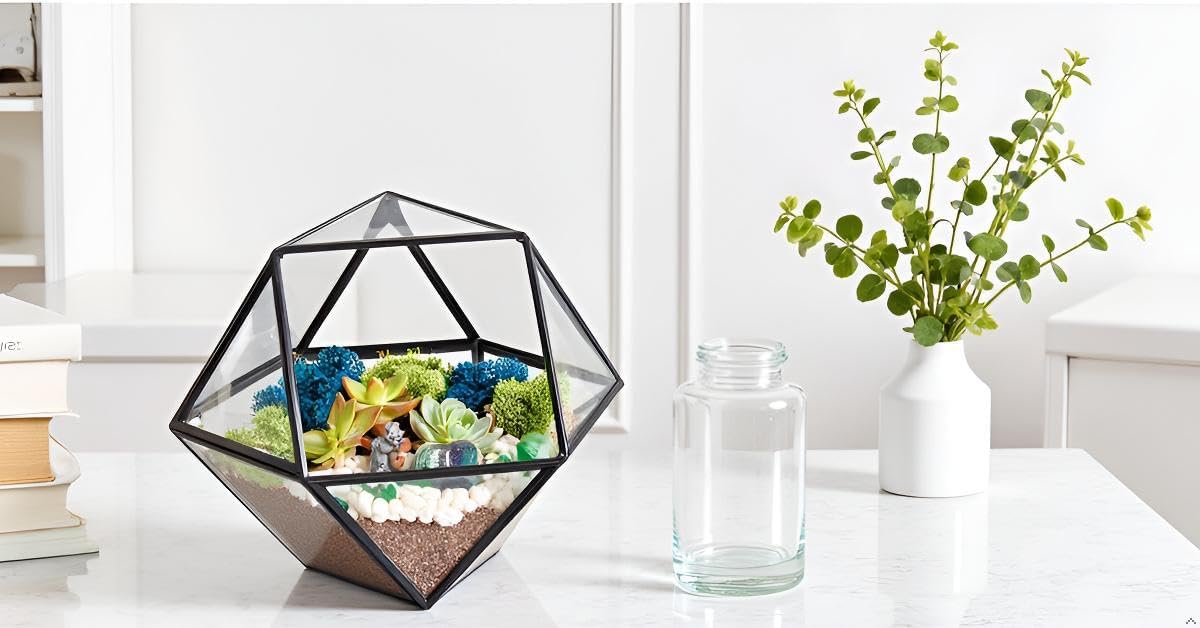 Creations by Nathalie DIY Geometric Terrarium Kit with Live Plant and Moss | DIY geometric glass terrarium kit with
