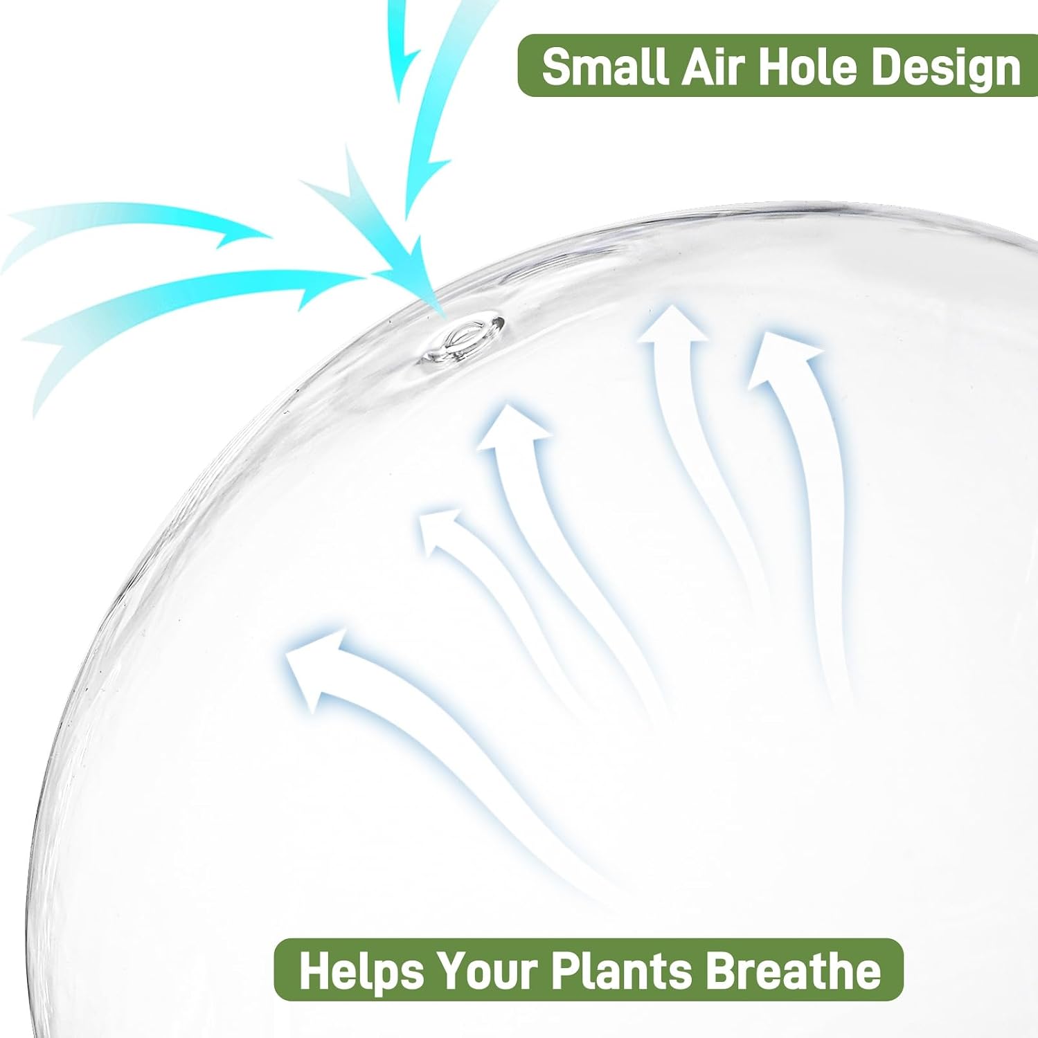 2 Pack Round Glass Cloche Domes with Air Hole and Base, 4.6 X 6.6 Inches Clear Terrarium Planter, Cloche Planters