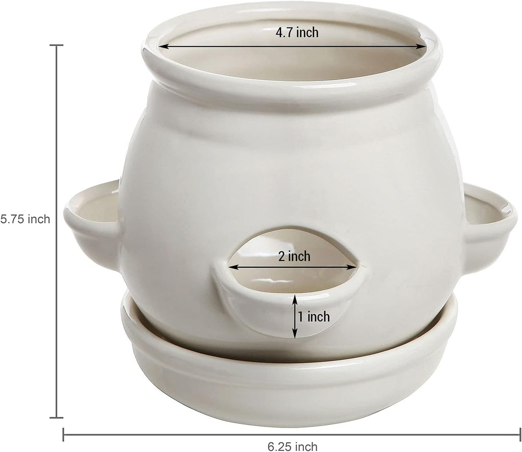 MyGift White Ceramic Plant Pot, Flower Strawberry Planter with Saucer and 4 Decorative Side Openings Design
