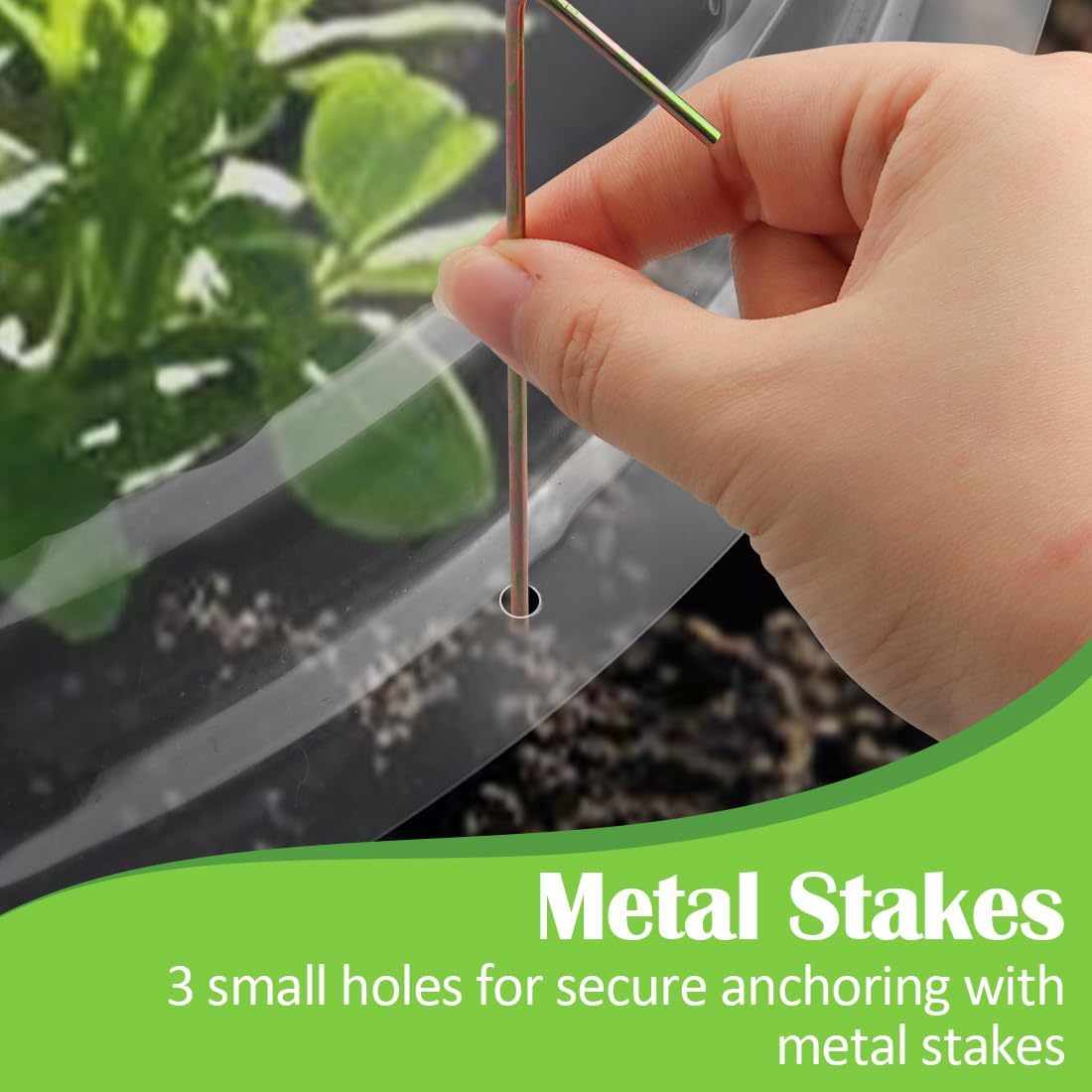 RooTrimmer 13 Inch Humidity Domes Garden Cloches for Plant Protection, Protectors from Animals, Garden Clear Plant