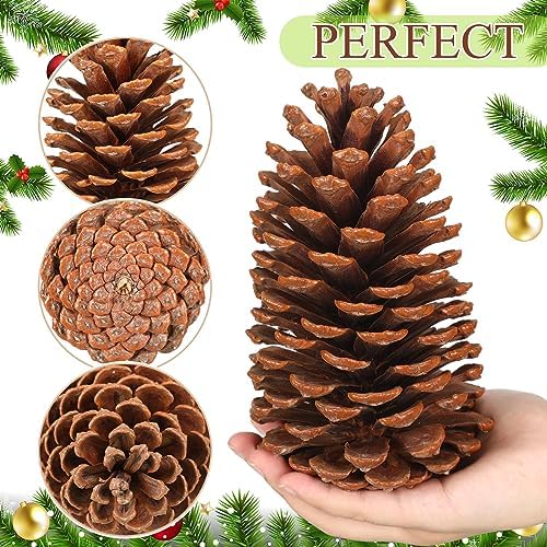 Huwena 12 Pcs 4-5inch Pinecones Large Natural Unscented Pine Cones Bulk
