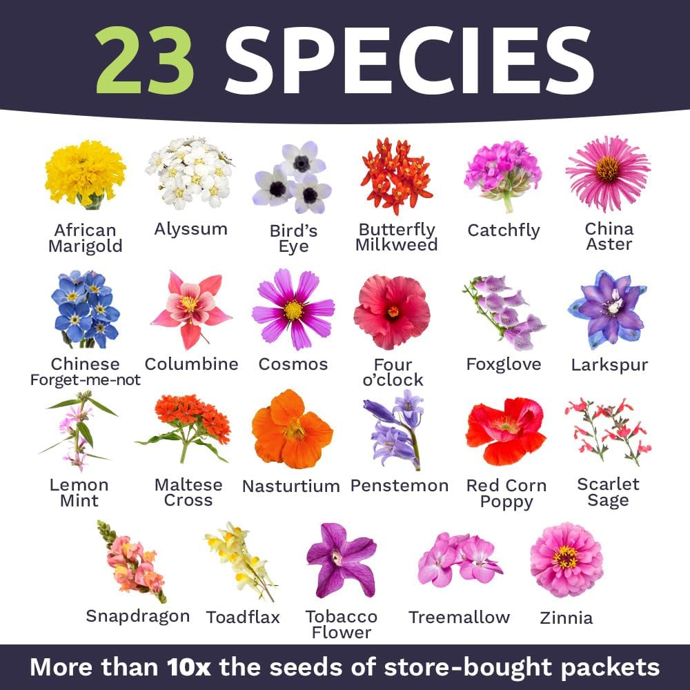 Bulk Wildflower Seeds Butterfly and Hummingbird Mix - 1 Pound Bag - Over 120,000 Open Pollinated Annual and Perennial