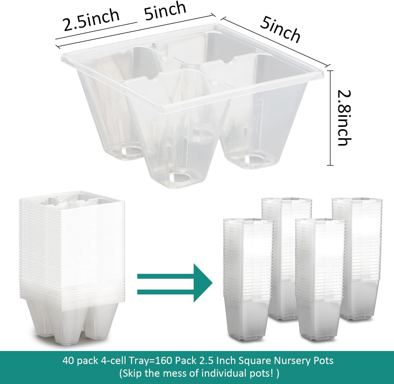 RooTrimmer 40 Pack Reusable 4-Cell Seed Starter Trays with Large Drainage Holes - Clear Transparent Trays for Root