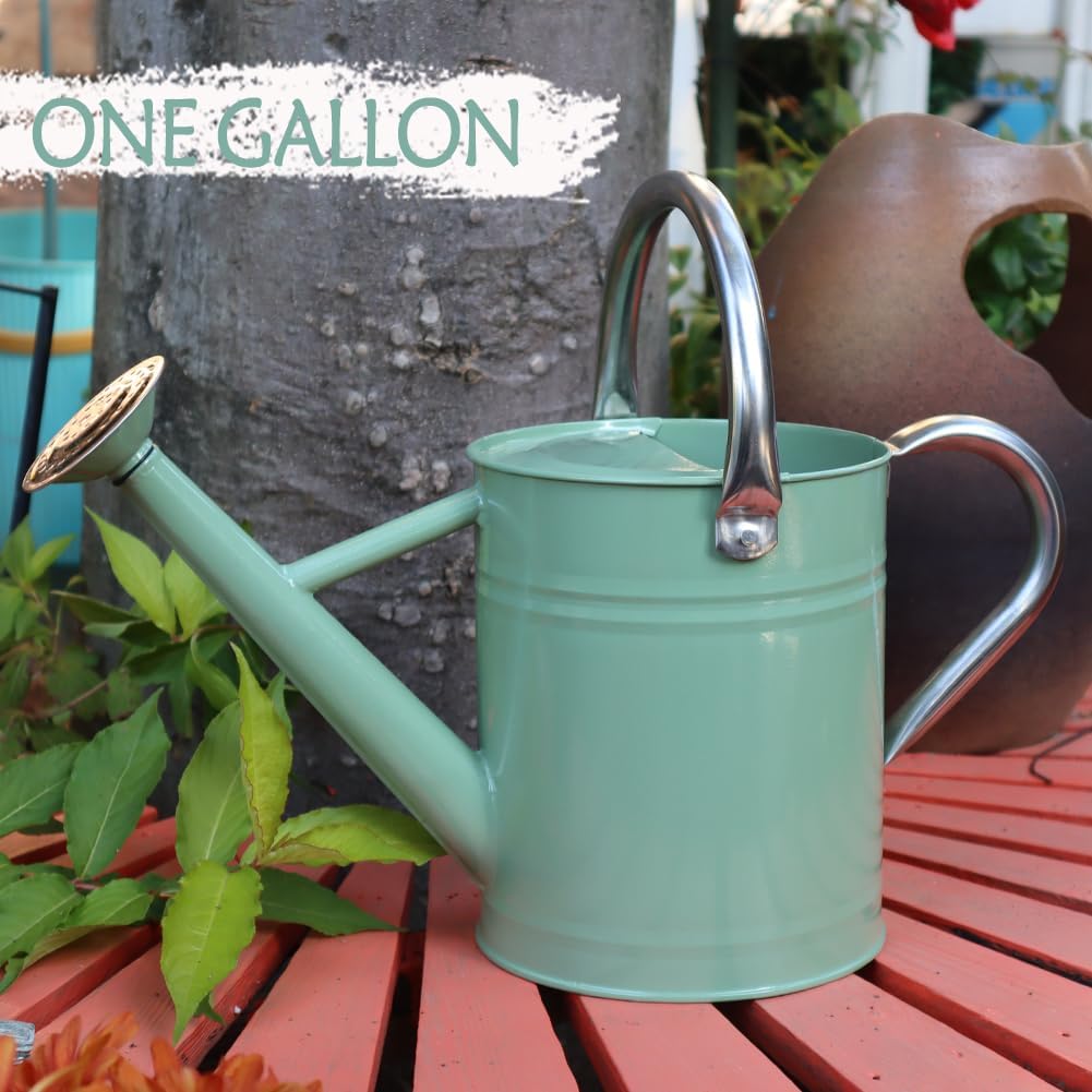 Metal Watering Can 1 Gallon for Outdoor Garden Plants, CGreen | Watering Cans Stainless Steel Handhold with Removable