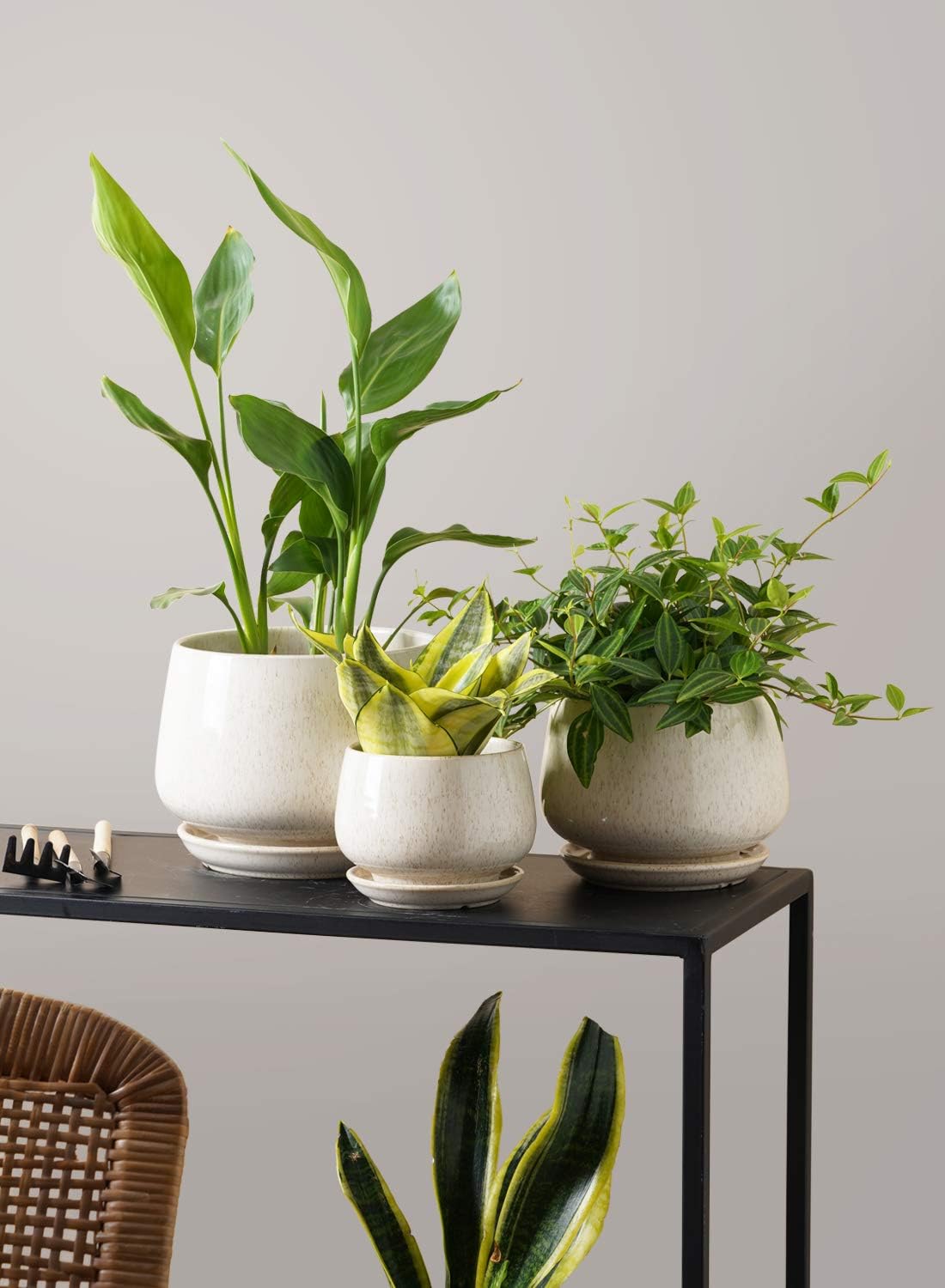 LE TAUCI Plant Pots, 4.1+5.1+6.5 inch, Set of 3, Ceramic Planters with Drainage Hole and Saucer, Indoor Flower Pot with