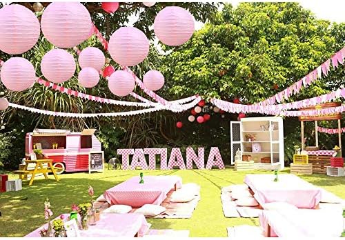 BEISHIDA 6 Inch Pink Paper Lanterns 6 Packs Hanging Round Chinese Lantern