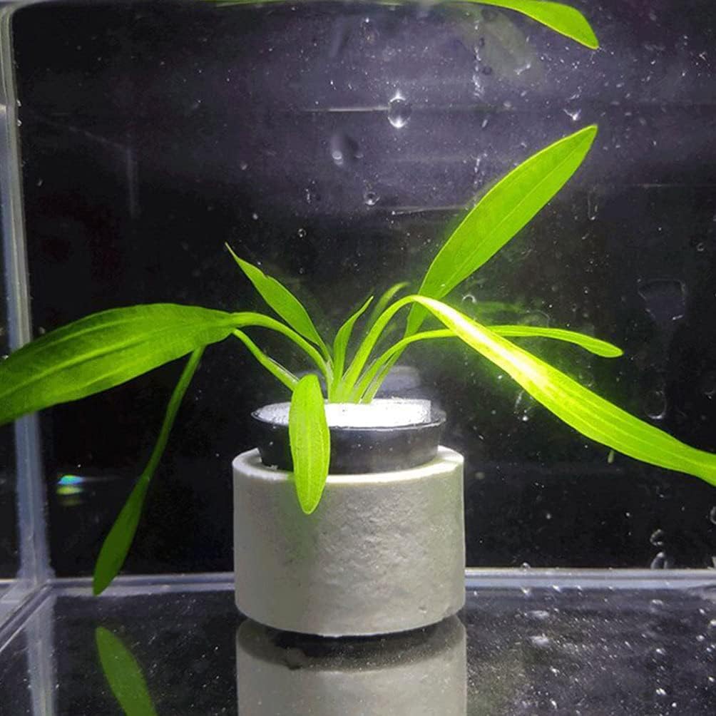 balacoo 10 Sets Aquarium Planting Rings and Cottons Fish Tank Planting Cups Hydroponic Bucket Water Tank Plants Fixed