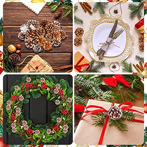 Syhood 24 Pcs Christmas Pine Cone Ornaments with String, White, Natural