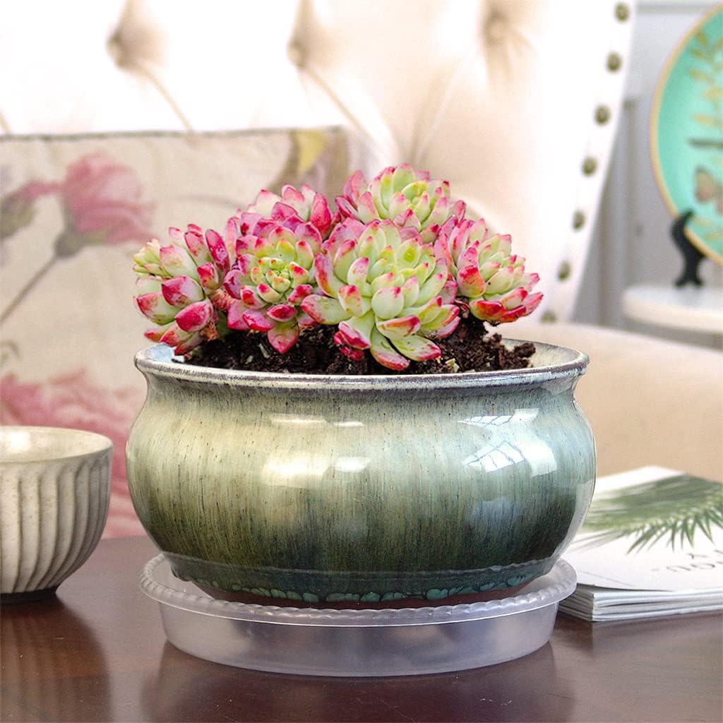 8 Inch Succulent Pot with Drainage and Saucer Glazed Terracotta Round Ceramic Succulent Planter Cactus Bonsai Plant Pot