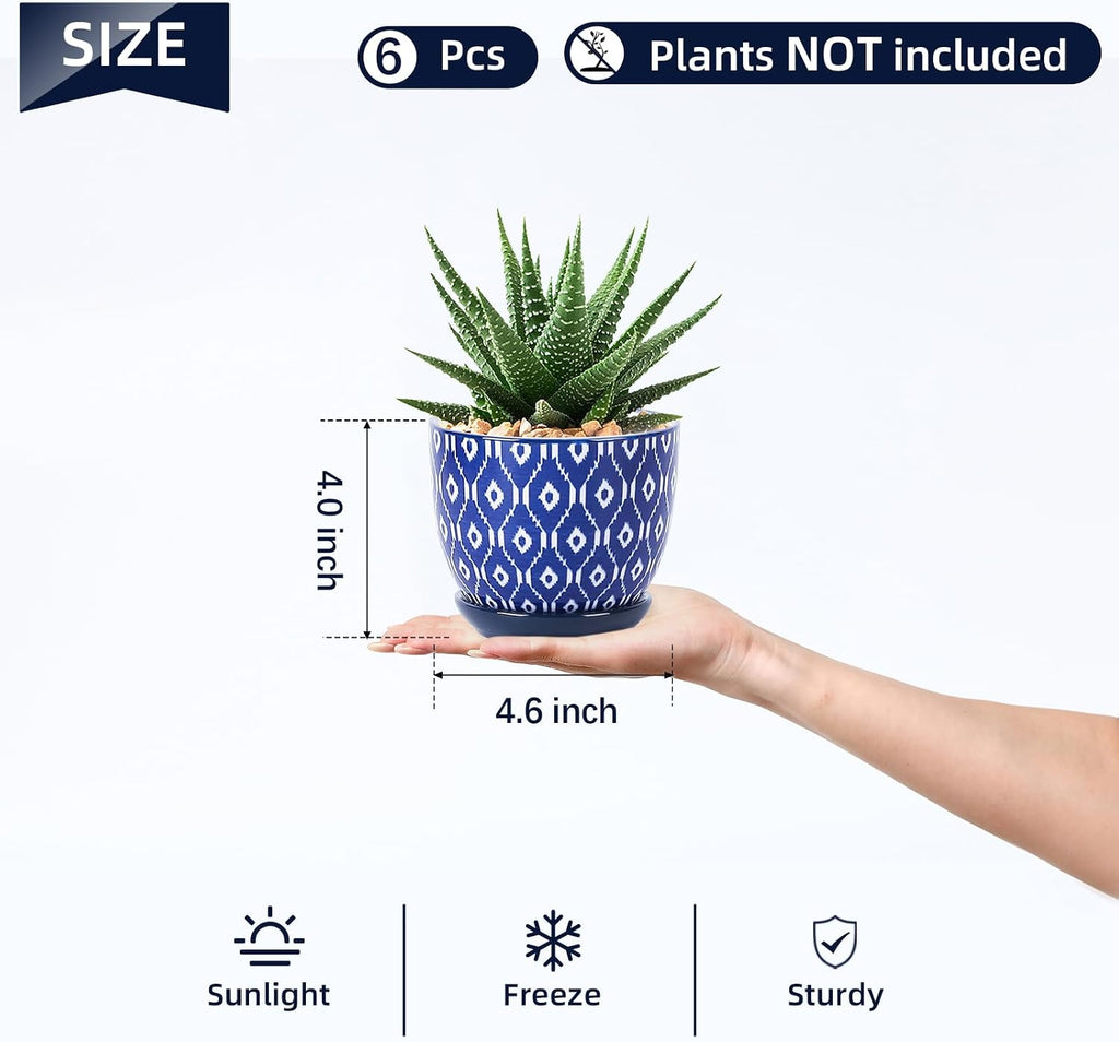 Selamica Ceramic Succulent Pots, 4.6 Inch Small Plant Pots with Drainage Holes & Saucers, Succulent Planters for Indoor