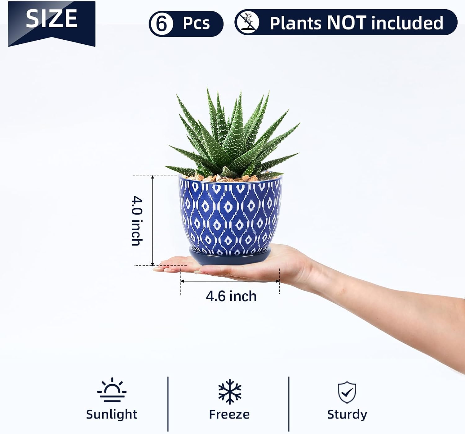 Selamica Ceramic Succulent Pots, 4.6 Inch Small Plant Pots with Drainage Holes & Saucers, Succulent Planters for Indoor