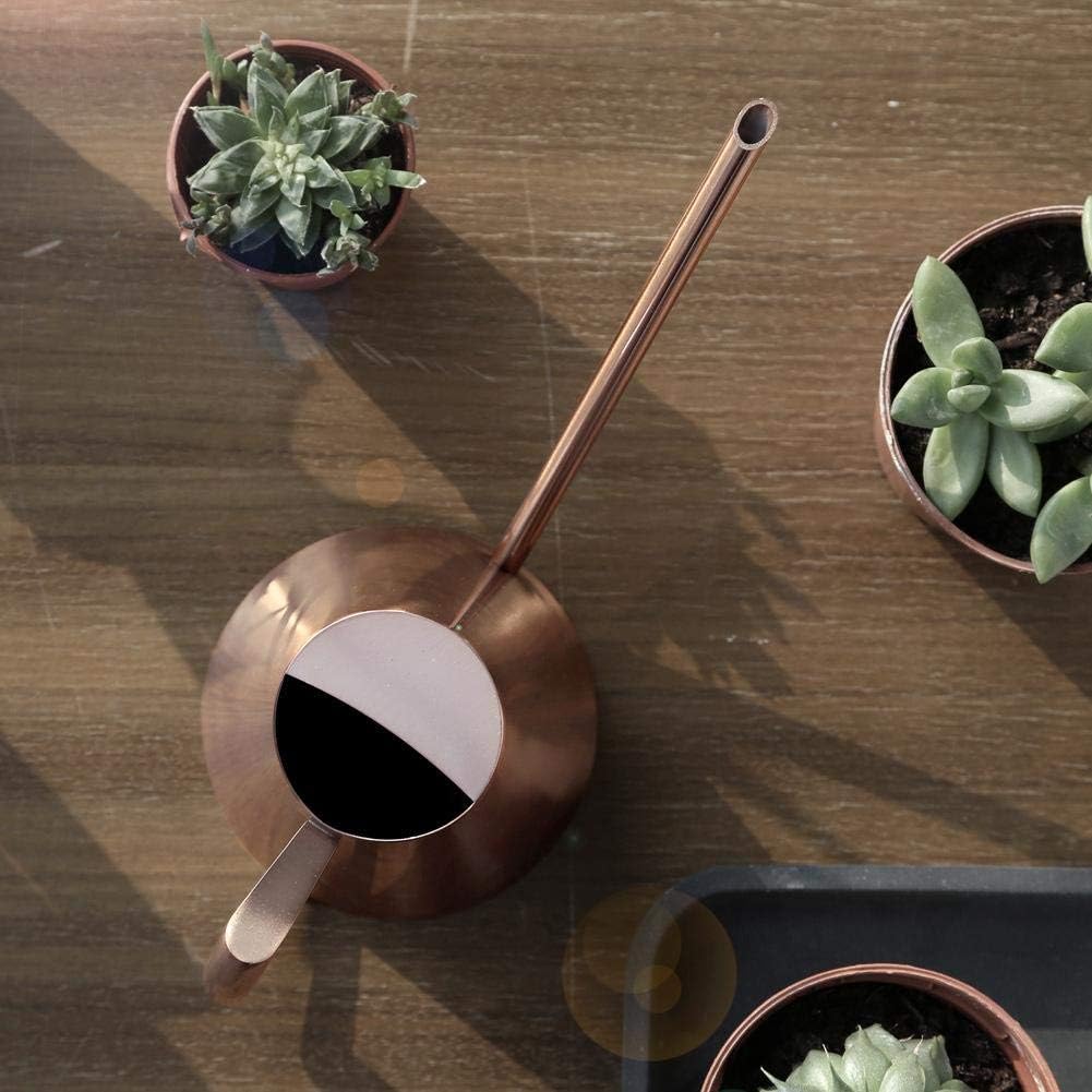Fdit Watering Can Solid Stainless Steel Pot with Long Spout for Bonsai Indoors Plants Garden Green Plant Flower