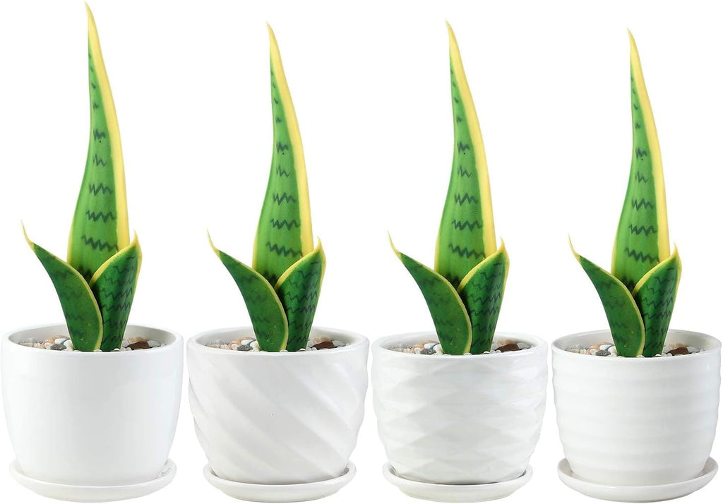 sietpoek 4.7” Ceramic Plant Pots with Drainage and Saucer 4PCs White | White Ceramic Flower Pots with Drainage Hole and