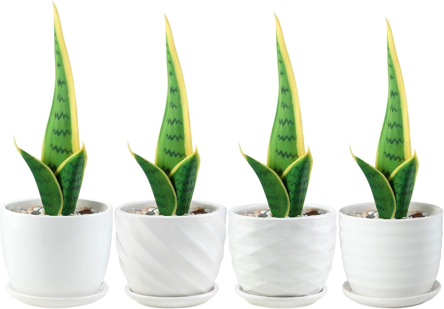 sietpoek 4.7” Ceramic Plant Pots with Drainage and Saucer 4PCs White | White Ceramic Flower Pots with Drainage Hole and