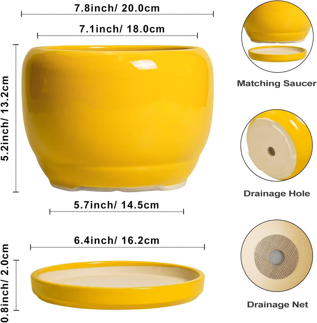 SQOWL Ceramic Plant Pot - 8 Inch Planter for Indoor Outdoor, Decorative Plant Pot with Drainage Hole and Saucer, Modern