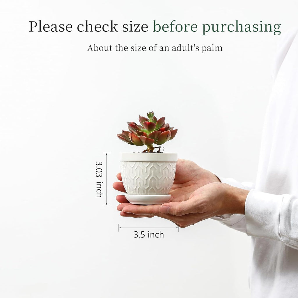Sureasy Succulent Pots, 3.5 Inch Flower Pots for Indoor Plants, Small Plant Pots with Saucer & Drainage, Decorative