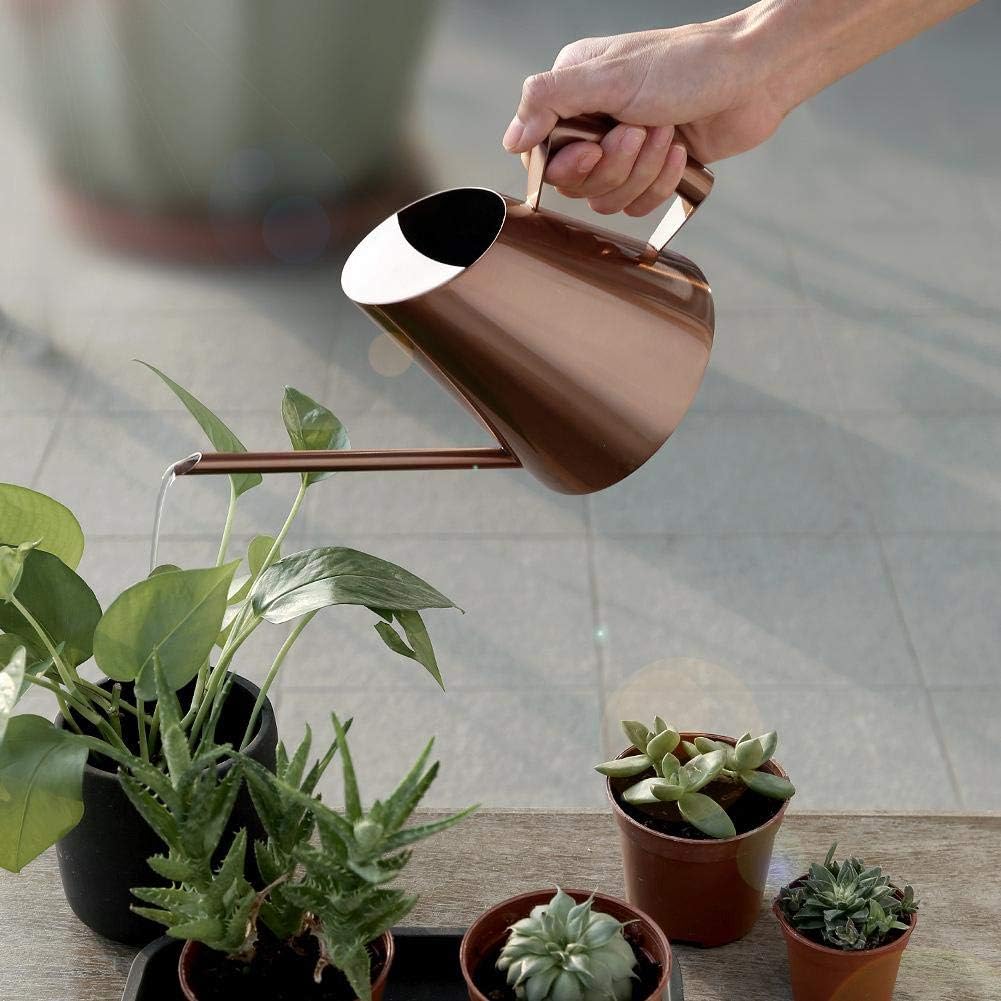 Fdit Watering Can Solid Stainless Steel Pot with Long Spout for Bonsai Indoors Plants Garden Green Plant Flower