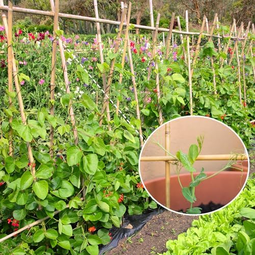 GAGINANG Natural Bamboo Garden Stakes, 3FT Trellis Plant Support 25Pcs