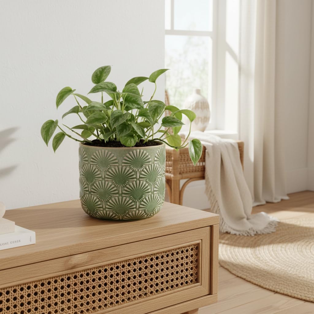Boho Ceramic Flower Pot, 6.7" Contemporary Pots for Indoor Outdoor Plants | Decorative Glazed Embossed Fan Textured