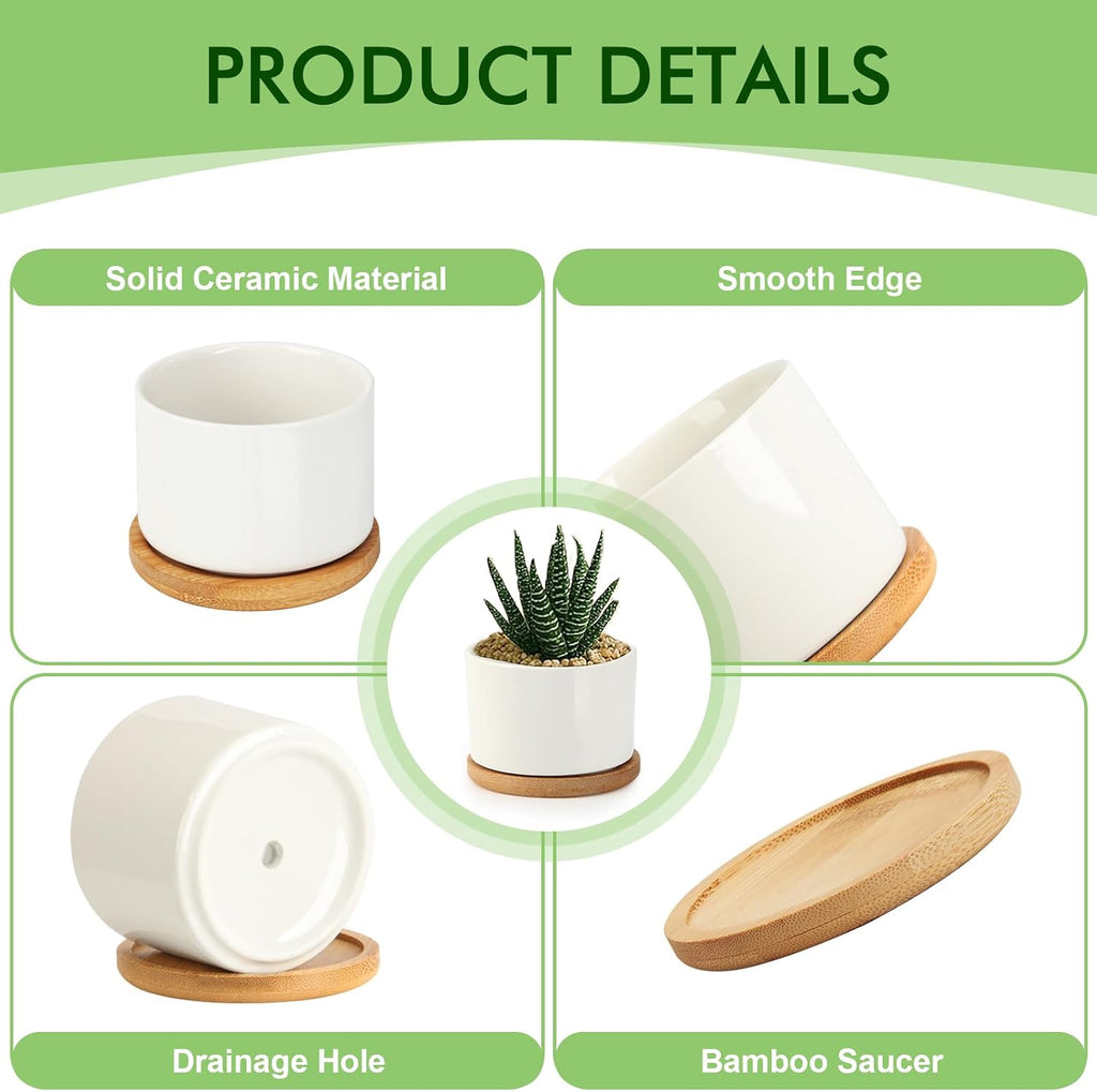 ZOUTOG Succulent Pots 3.1 Inch,Succulent Planters 12 Pack,Small Pots for Plants with Drainage and Tray,White Ceramic