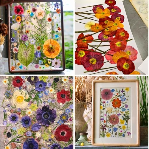 AIOWZZY Large Wooden Flower Press Kit 11" x 8" Multi-Layer Plant Press for Dried Flowers Plant Preservation for DIY Arts Dried Flowers Craft Tool