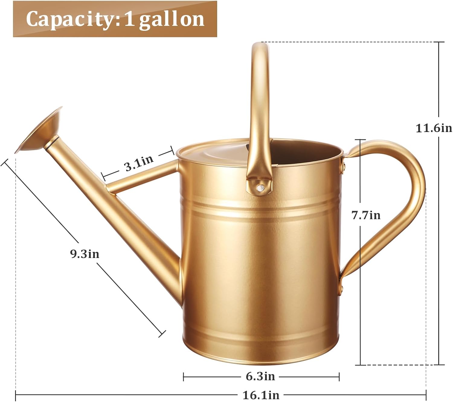 1 Gallon Metal Watering Can for Outdoor&Indoor Plants | Removable Sprinkler Head,Made of Premium Galvanized