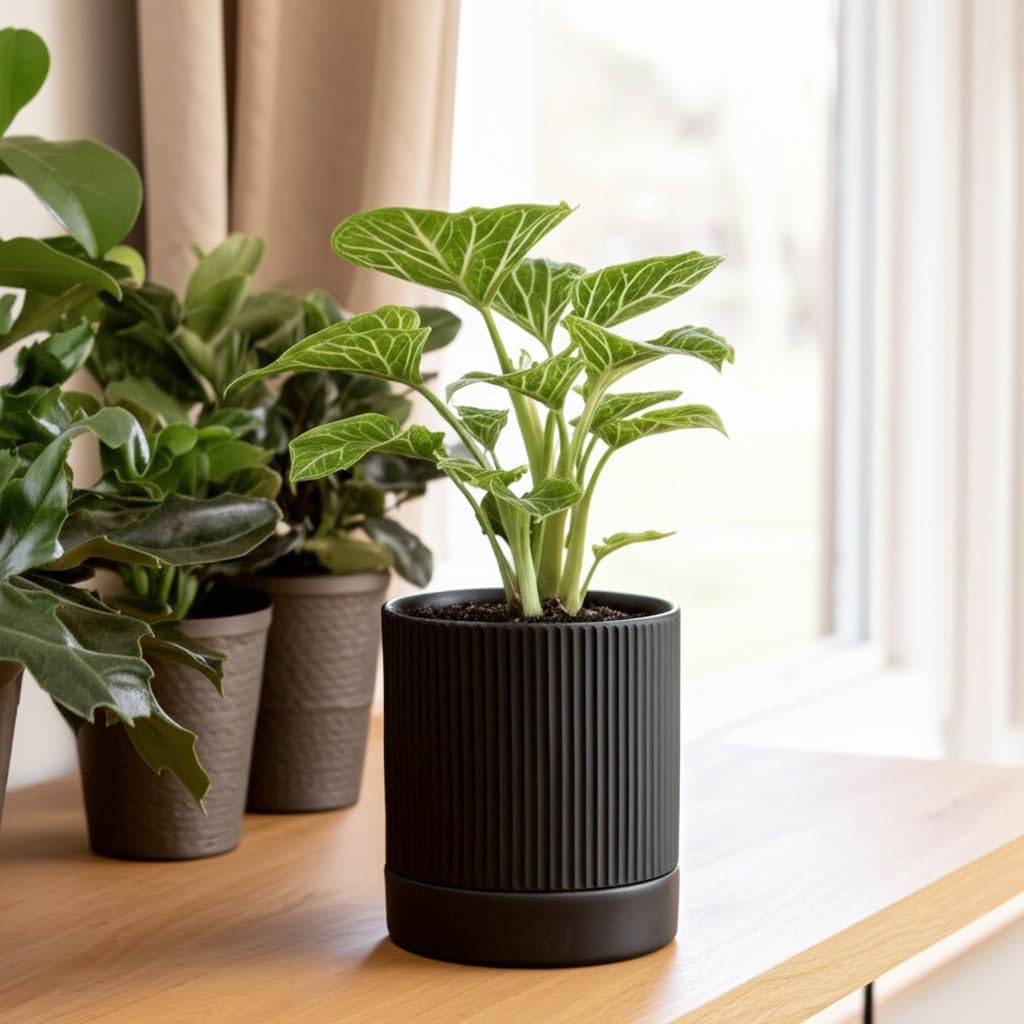 HERDUK Small Plant Pots, 4 Inch Pots for Indoor Plants, Modern Minimalist Ceramic Plant Pots with Drainage Hole &