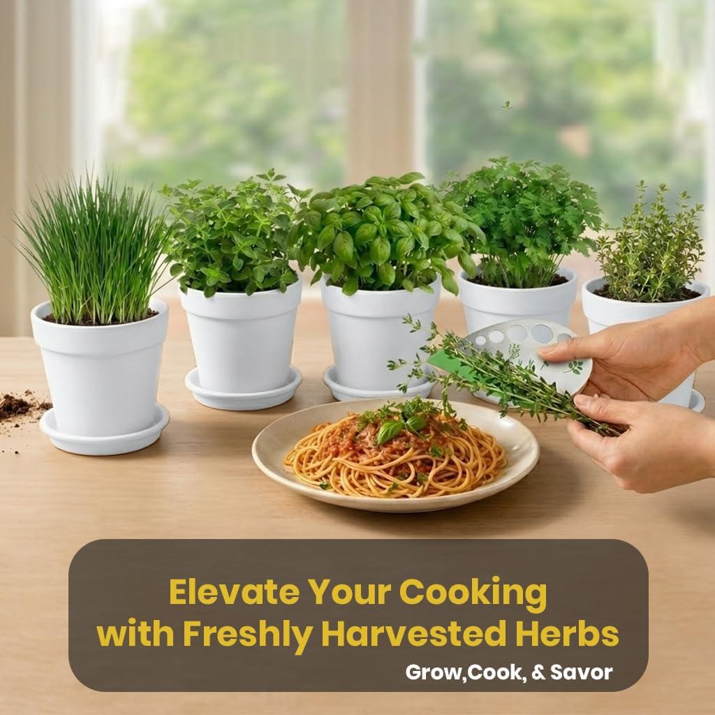 47 PCS Herb Garden Seeds Starter Kit, 10 Non-GMO Culinary Herb Seeds with White Pots & Planters for Windowsill, Herb