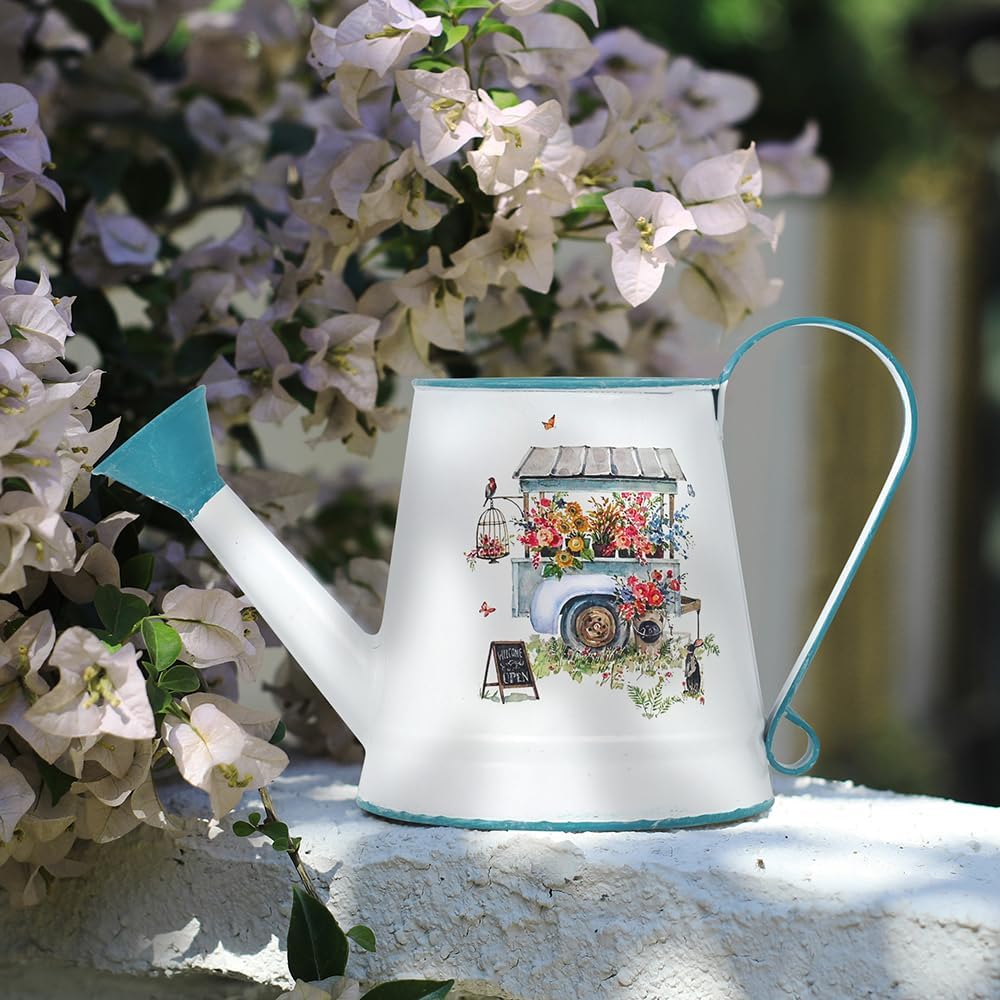 Cute Small Watering Can Indoor Plants Garden Metal Decorative Watering Cans for Outdoor Plants Bonsai Outdoor Garden