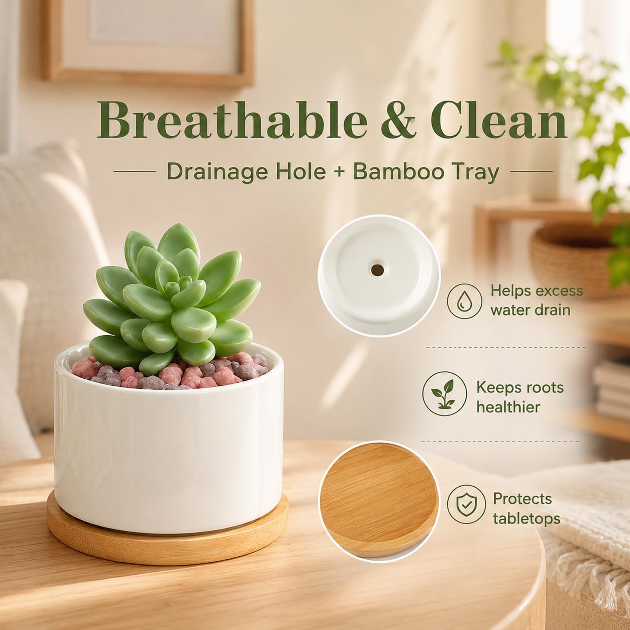 ZOUTOG 12 Pack Ceramic Succulent Pots,3.6 Inch Plant Pots,Succulent Planters with Drainage Hole & Bamboo Tray for