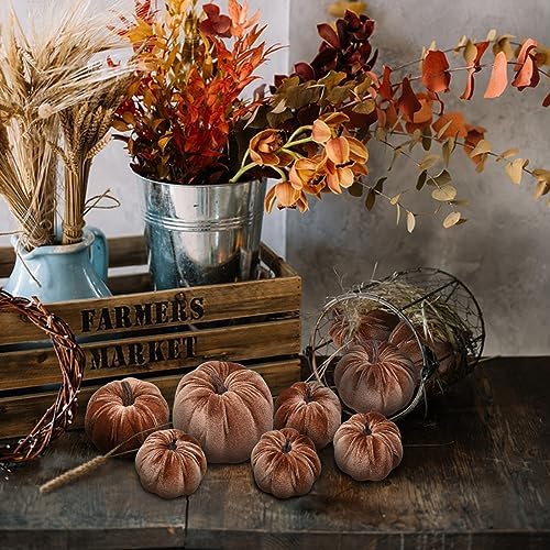 Woration 8pcs Velvet Champagne Pumpkins Artificial Home Party Decorative