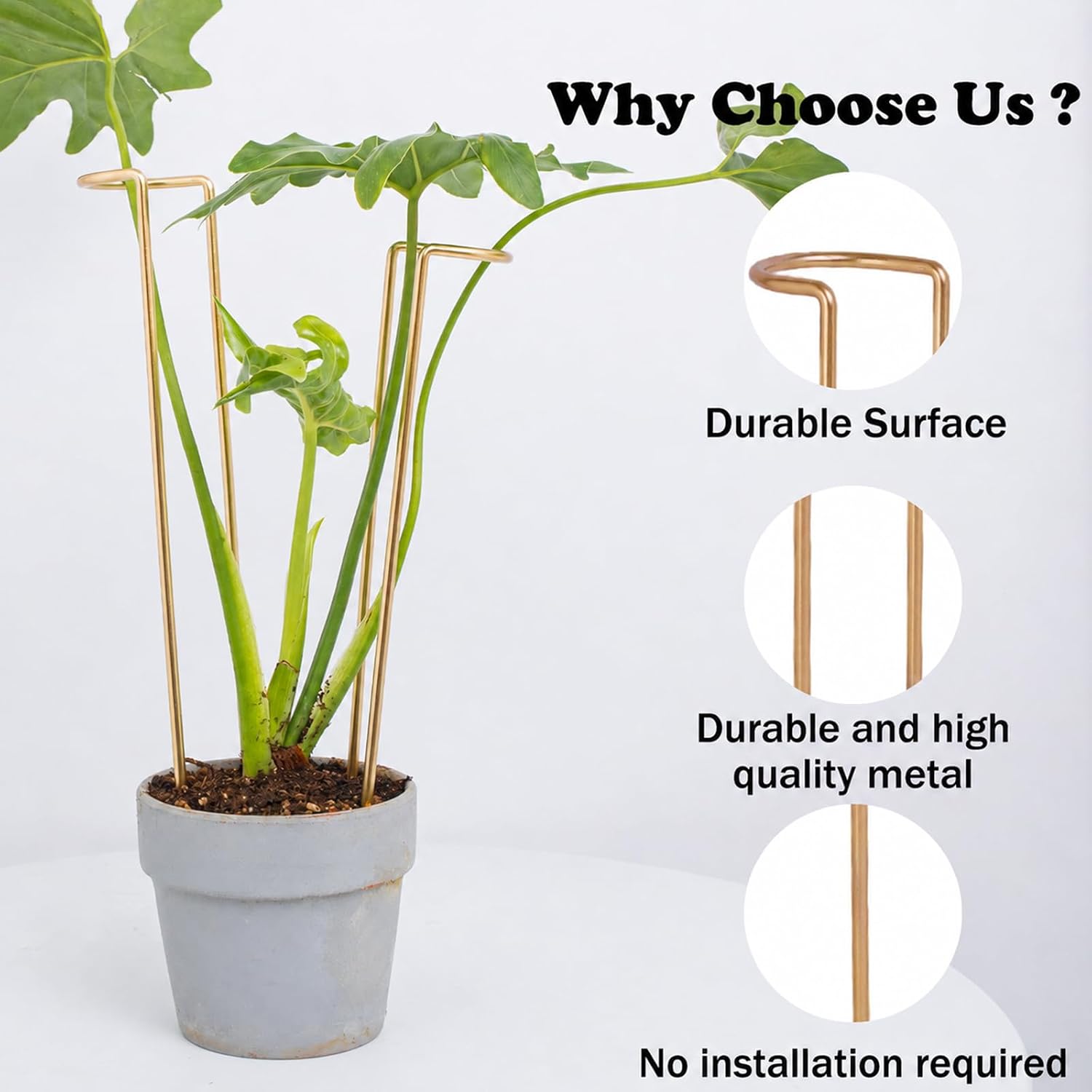 12" Monstera Support - 10 Pcs Plant Support for Indoor Plants | Indoor Plant Trellis & Stakes, Monstera Support Ring