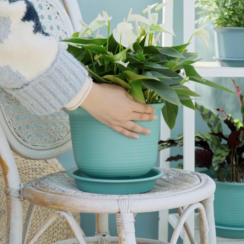 7 inch Plant Pots, 6 Pack Flower Pots,Planters for Indoor Outdoor Plants, Planters with Drainage Hole and Tray