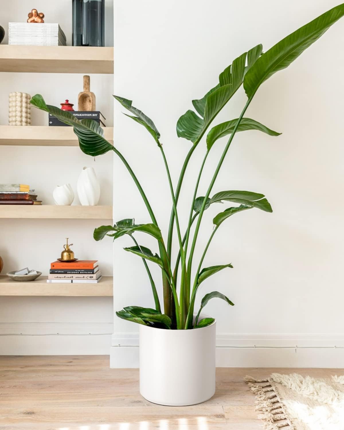 LE TAUCI 12 Inch Pot for Plants, Ceramic Planters for Indoor Plants, Mid-Century Modern Cylinder Flower Pots with