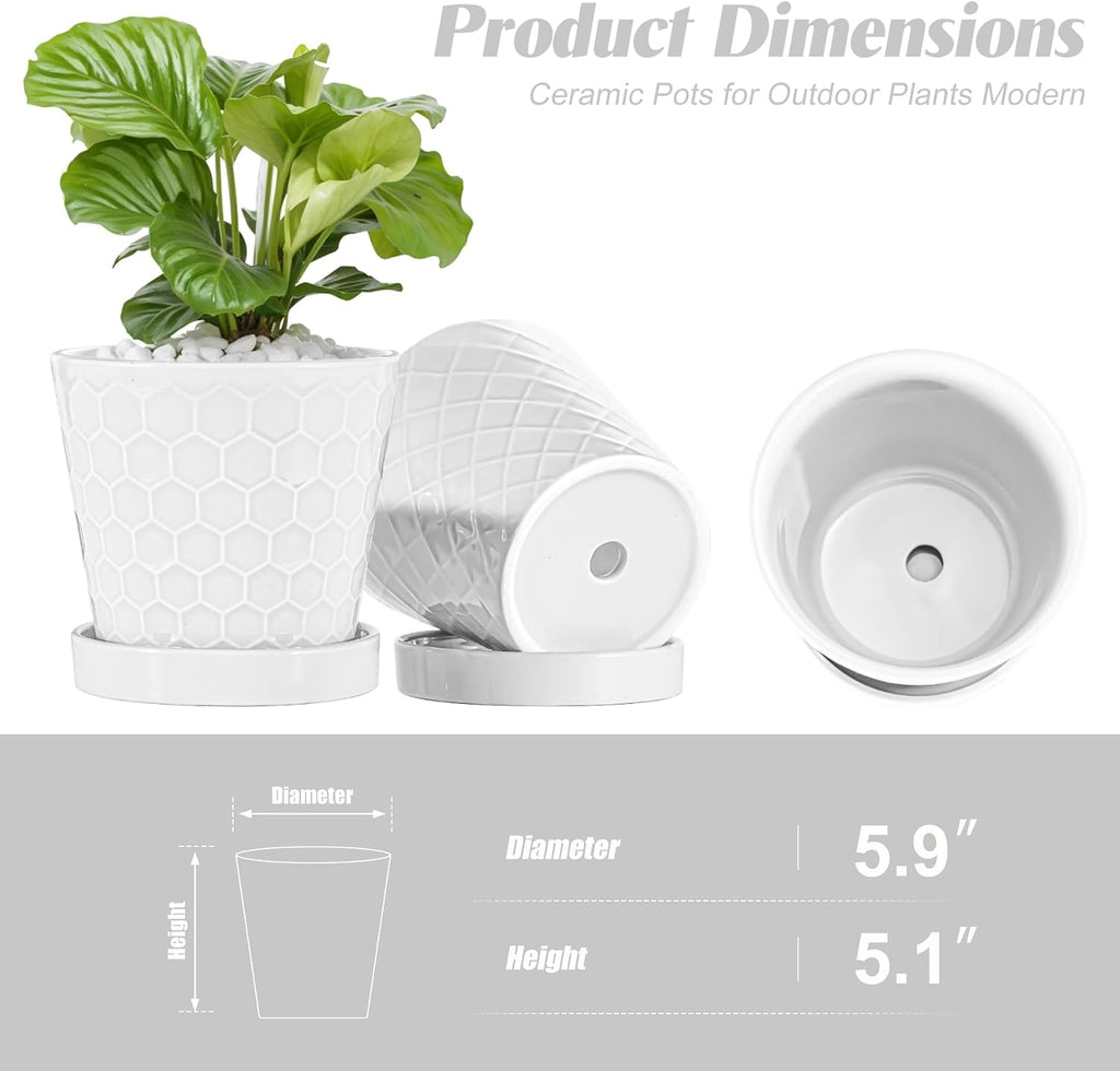 BUYMAX 6 Inch Plant Pot Ceramic Flower Pots Set of 2 with Drainage Hole | Includes Ceramic Trays | Clean White Finish