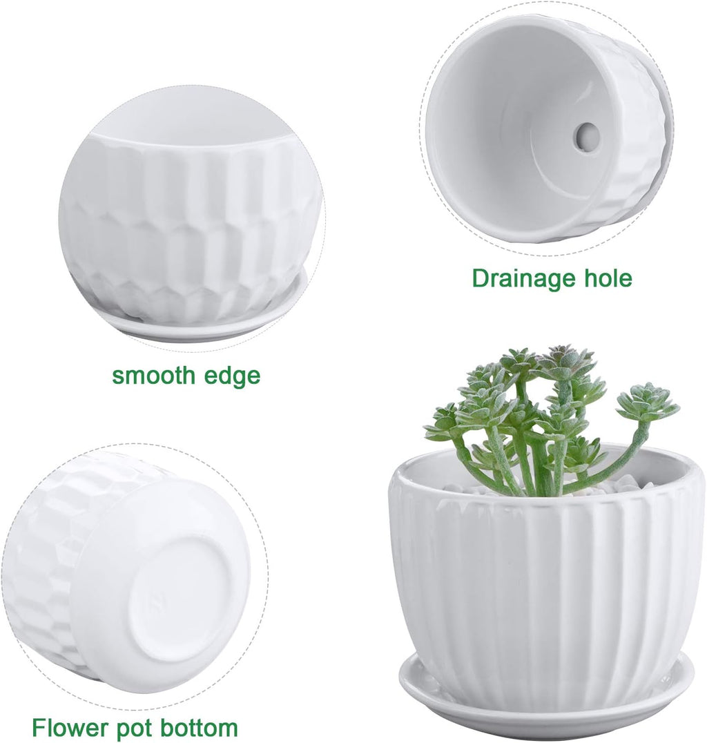 Flower Pots, 4 Inch Cylinder Ceramic Plant Pots with Connected Saucer, Mini Ceramic Planters for Succulent and Little
