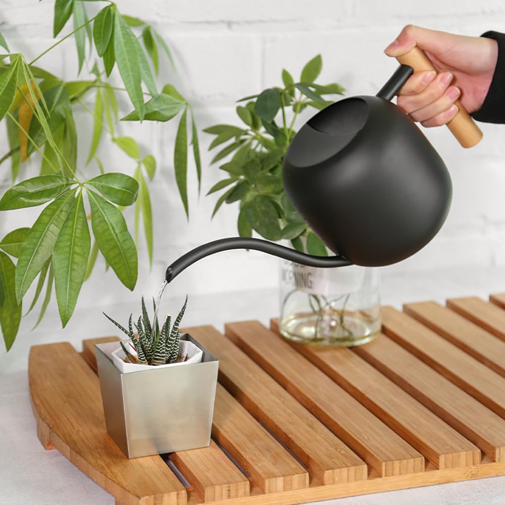Small Watering Can Indoor Plants, 40oz/1.2L Garden Watering Can, House Plant Watering Can Cute Watering Pot with Long