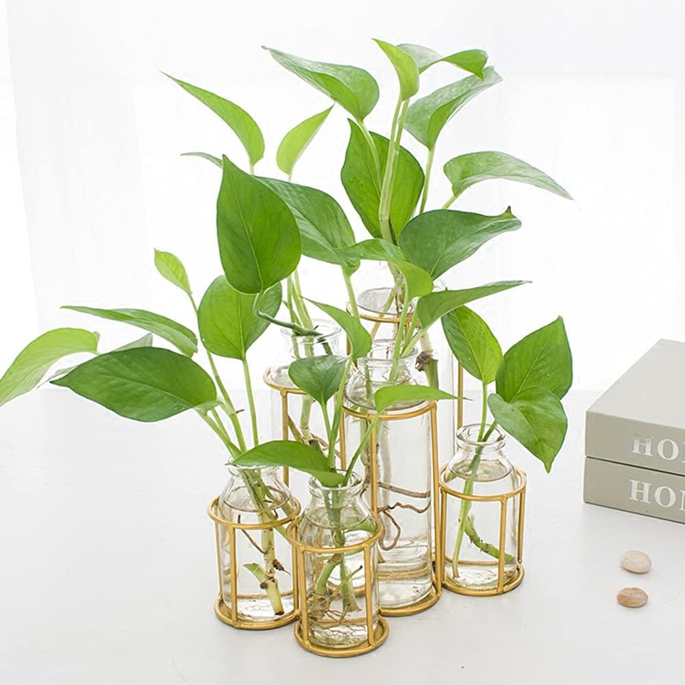 Flower Vases with 6 Bottle Crystal Clear Glass Flower Vase with Metal Stand Propagation Station Plant Display Holder