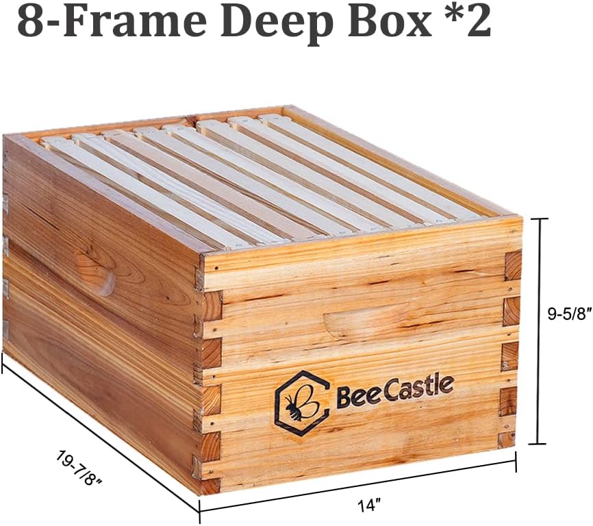 BeeCastle 8 Frame Langstroth Bee Hive Coated with Beeswax Includes Beehive Frames and Waxed Foundations (2 Deep Boxes &