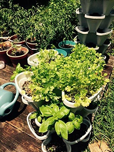Mr. Stacky 3 Tier Stackable Herb Garden Planter Set with Bottom Saucer - Stone Color - Vertical Container Pots for
