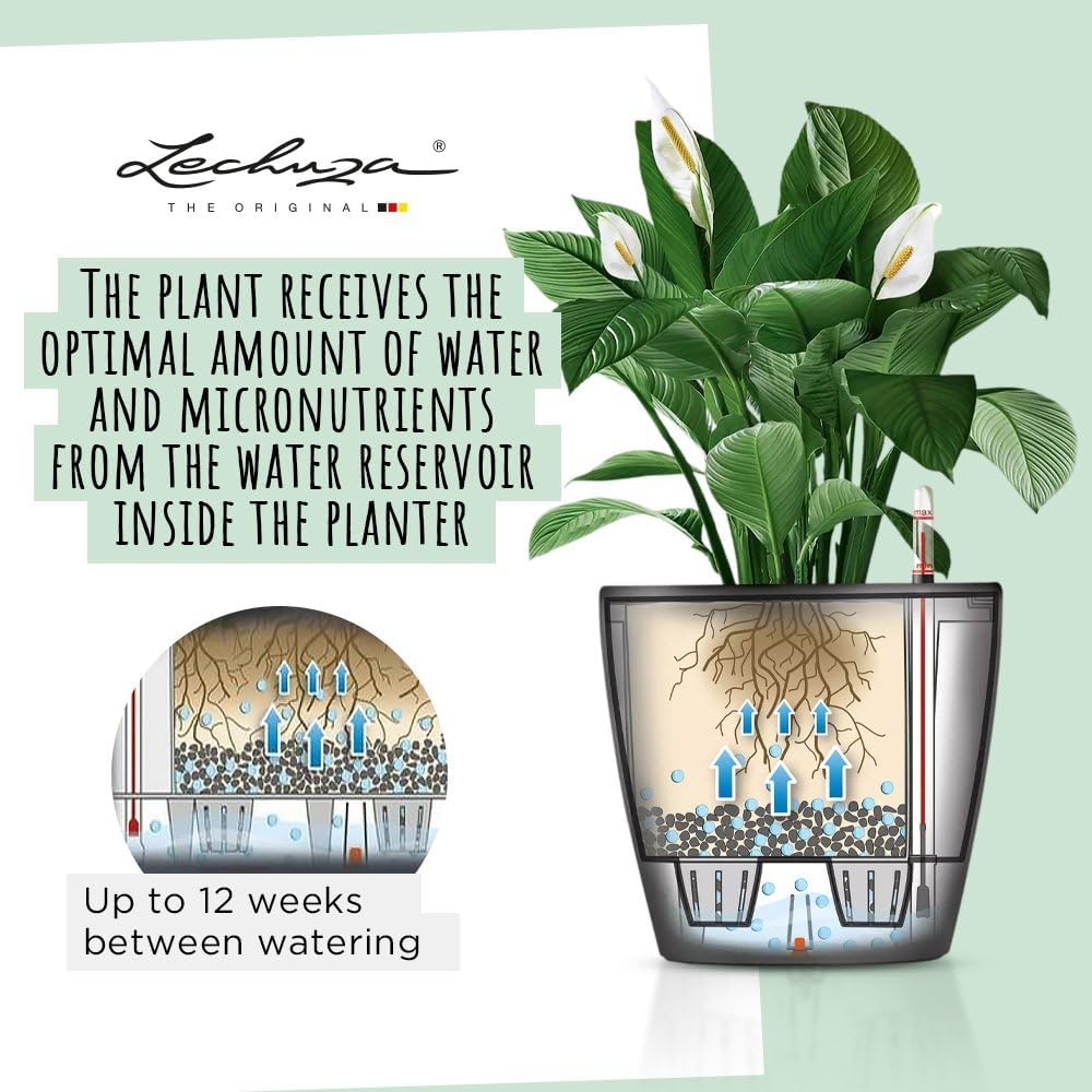 LECHUZA Self Watering Pots for Indoor Plants, 1 Pack 8 Inch (Glossy White) | Classico 21 LS, D8.3 H7.9 Inch, for