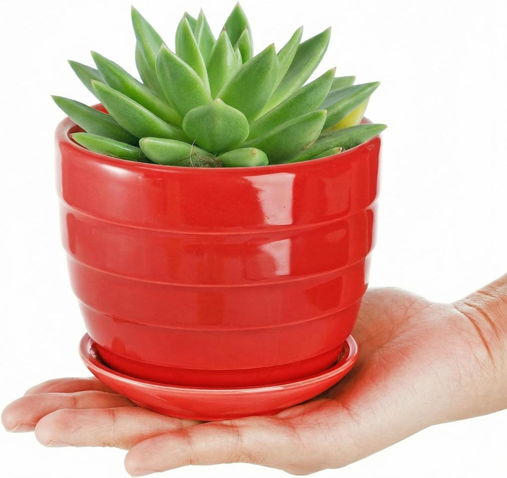 Elsjoy 6 Pack 4.3 Inch Ceramic Succulent Pots with Drainage and Attached Saucer, Small Decorative Succulent Planter