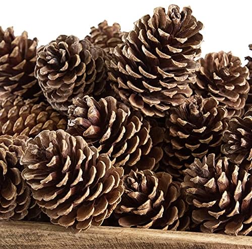 ANDALUCA Pinecone Vase & Bowl Fillers | Scented Pine Cones Decor (Natural)