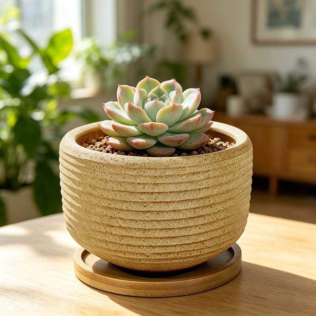 MUZHI Rustic 4 inch Bonsai Plant Pot with Bamboo Tray Set of 4, Unglazed Ceramic Succulent Cactus Pot Indoor Outerdoor