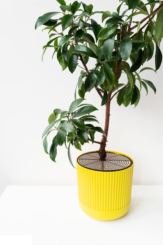 Z metnal Plant Pot Grid 20.8", 3 Pcs Cuttable Grid Plant Soil Cover, Plastic Grid Plant Pot Cover, Flower