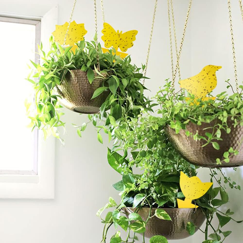 36 Pack Fungus Gnat Traps for House Plants, Yellow Sticky Traps for Indoor Outdoor Use to Get Rid of Whitefly