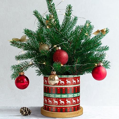 Tioncy 6 Pcs Christmas Succulent Pots 3.15'' Small Christmas Planters