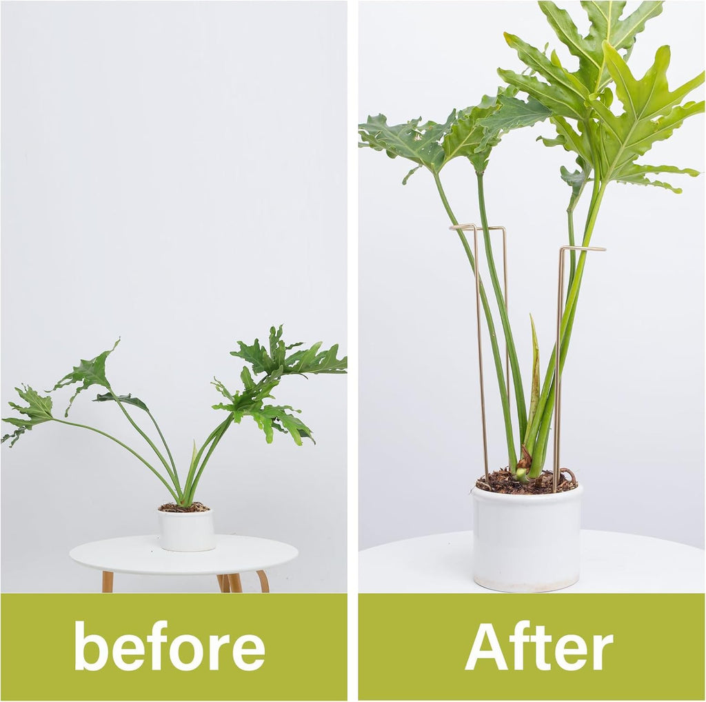 10 PCS Large Indoor Plant Stakes 15.5" Heavy Duty Metal Supports | Plant Supports for Outdoor & Indoor Plants, Durable