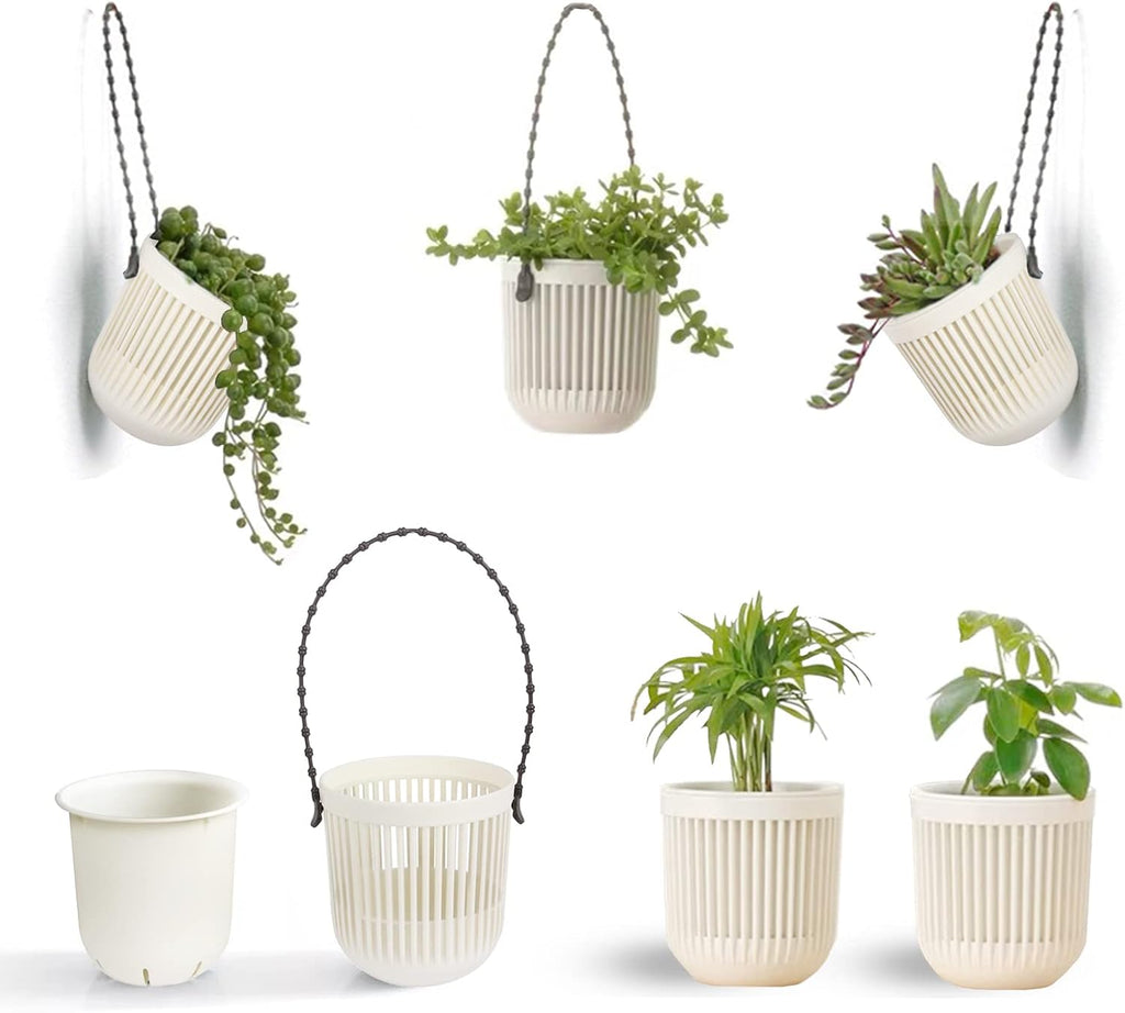 Succulent Tools and Plastic Succulent Pots